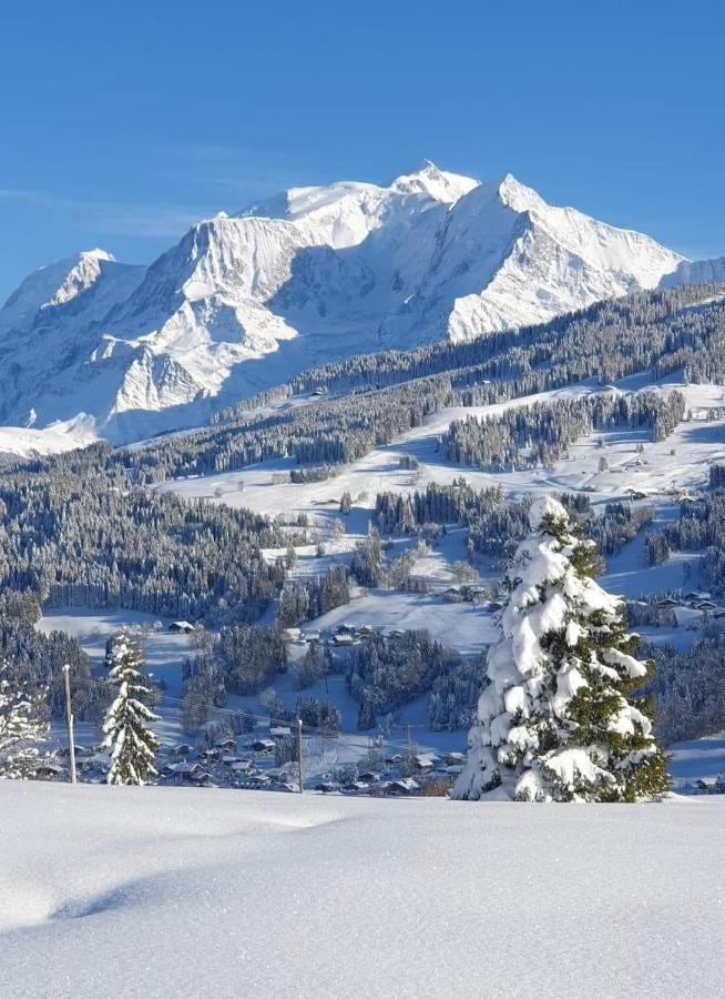 Le Sapin B19 Megeve - Demi Quartier Apartman Kültér fotó